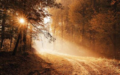 Le Temps de Ces Jours