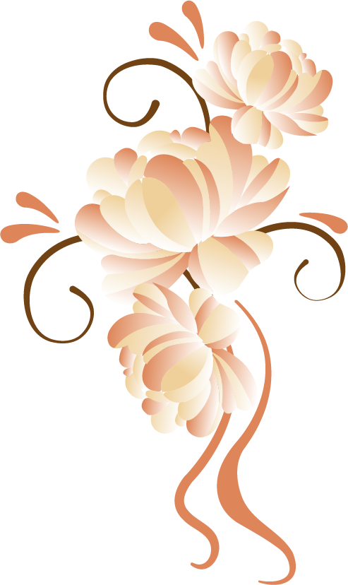 Fleurs_ Claire Louis Ecrivain public Soins relaxants Langeac