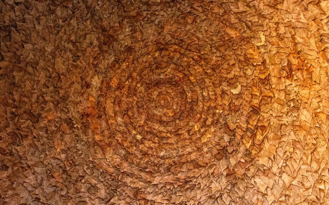 Mandala feuille_ Claire Louis Ecrivain public Soins relaxants Langeac