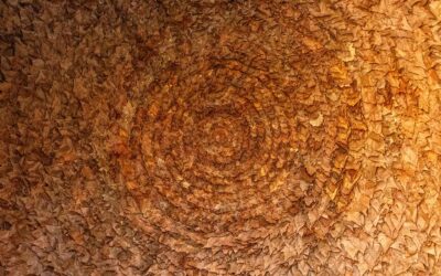 Je suis née pour t&rsquo;accueillir