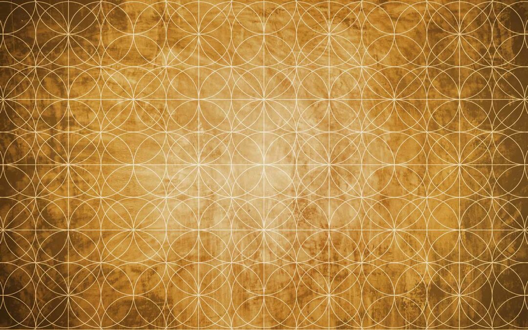 Fleur de vie_ Claire Louis Ecrivain public Soins relaxants Langeac